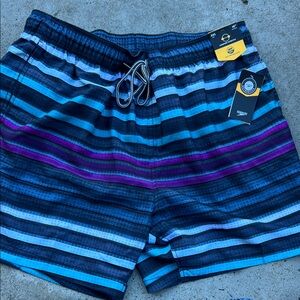 Speedo Striped Blue and Purple Board Shorts